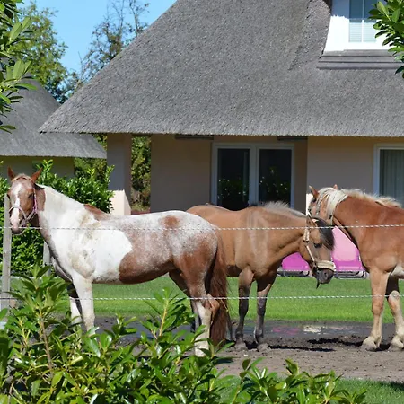 Reetdachkate, Inkl 2 Parkplaetze
