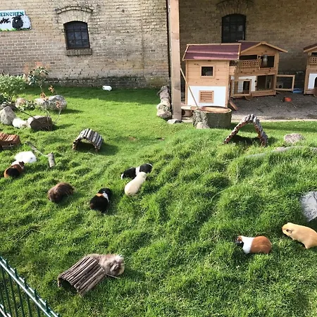 Reetdachkate, Inkl 2 Parkplaetze